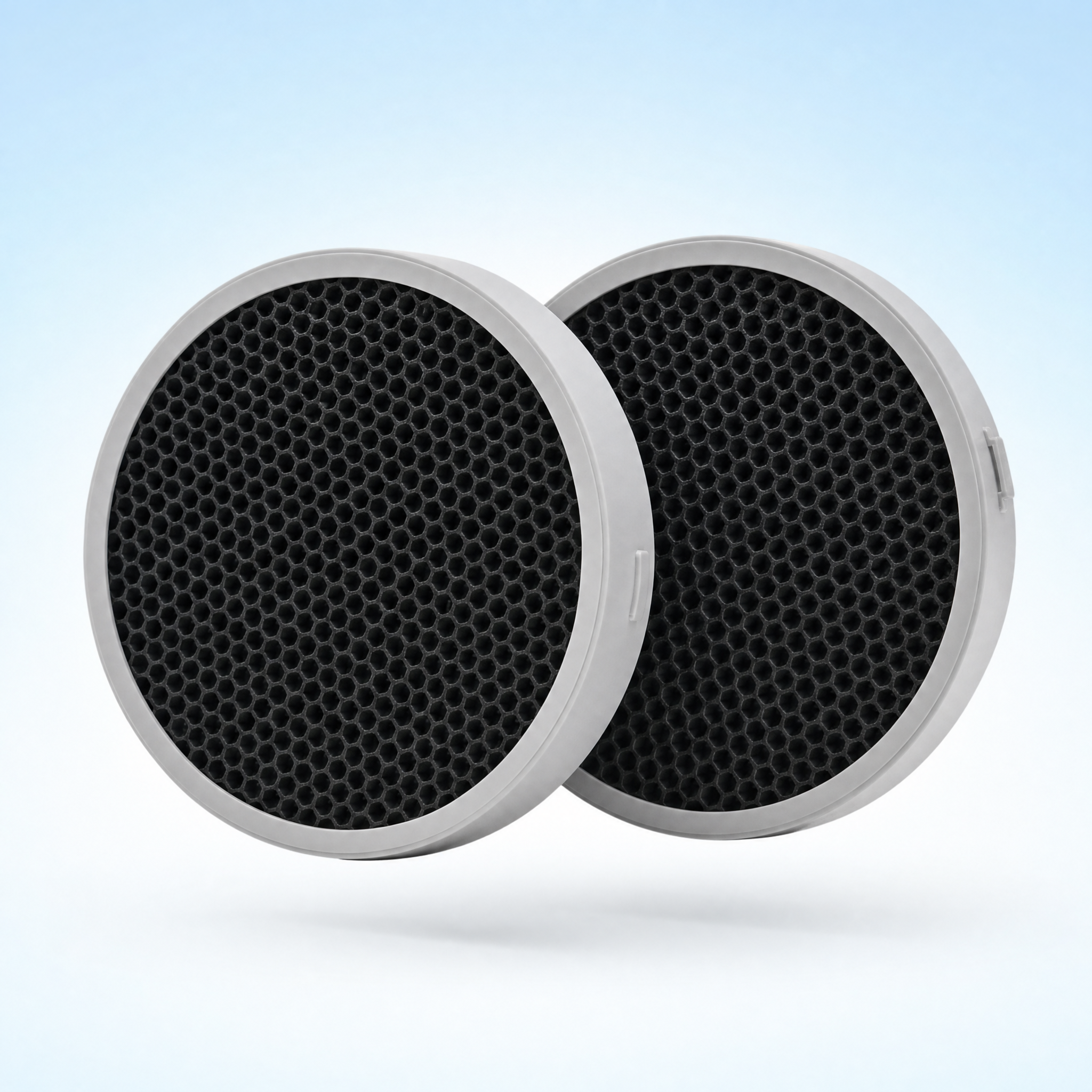 Carbon Odour Filter 2-Pack — Two activated-carbon filters targeted at pet and kitchen odours.